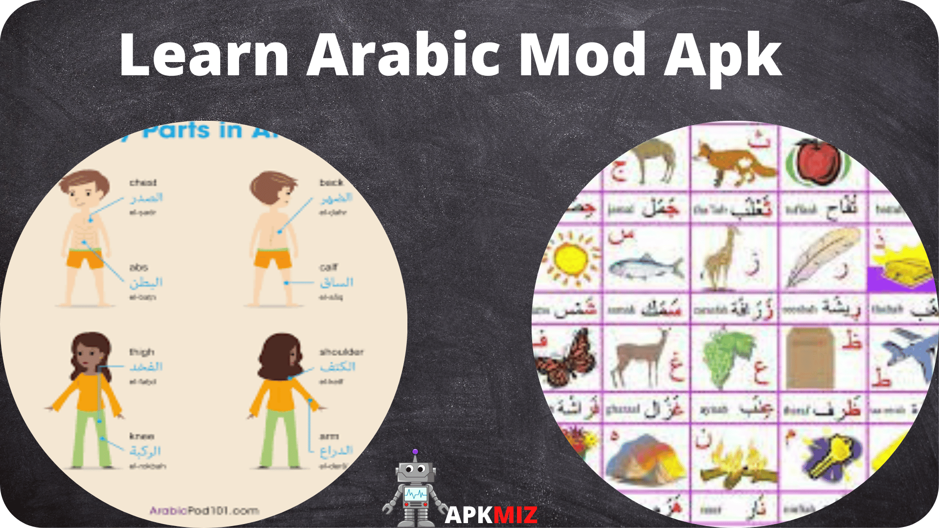 Learn Arabic Mod Apk
