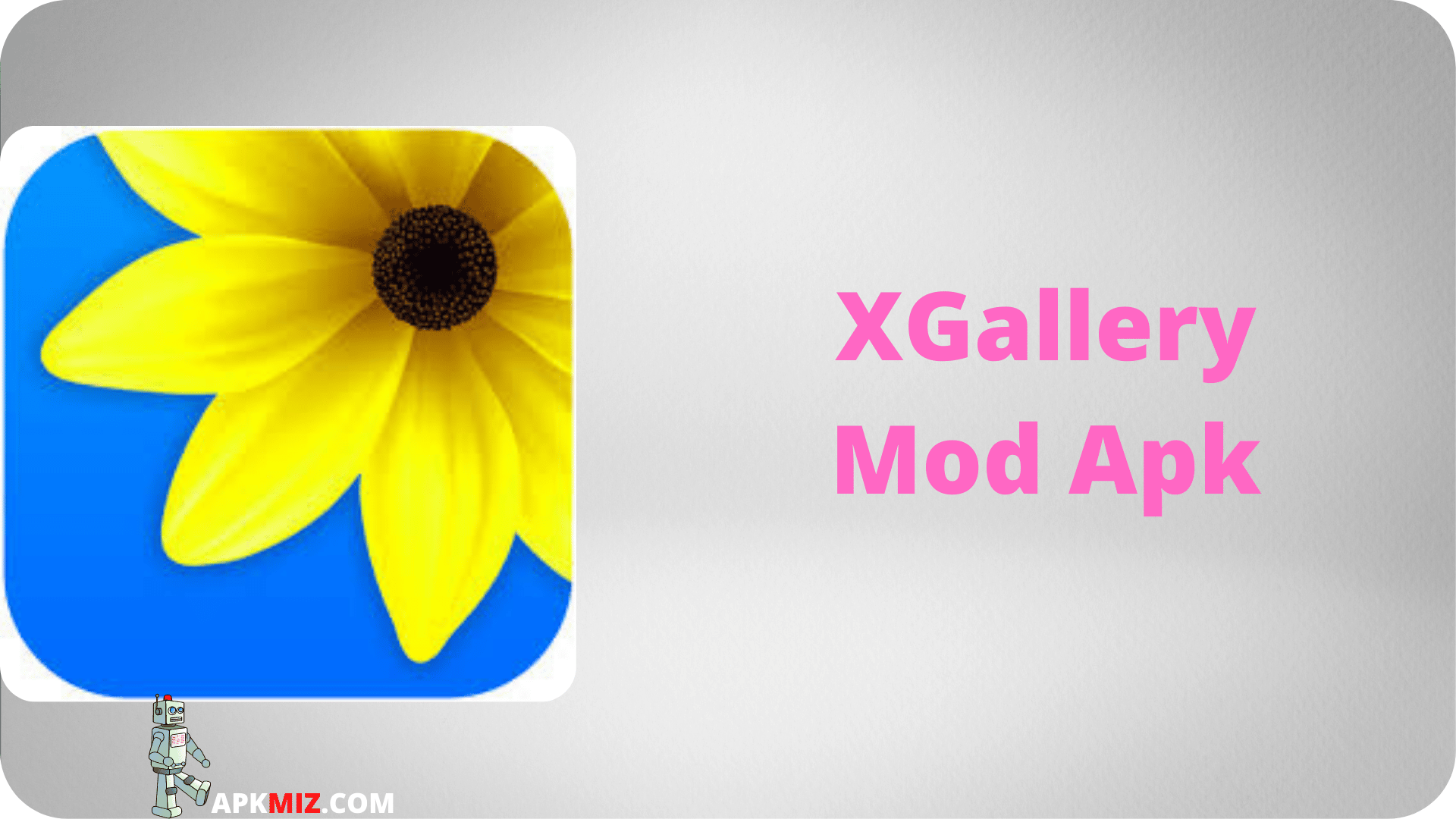 XGallery Mod Apk