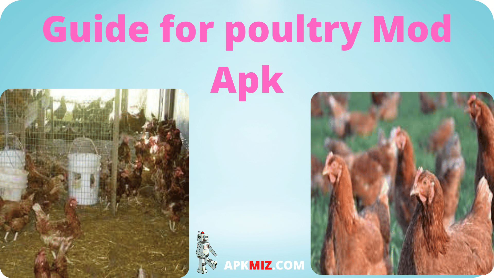 Guide for poultry Mod Apk